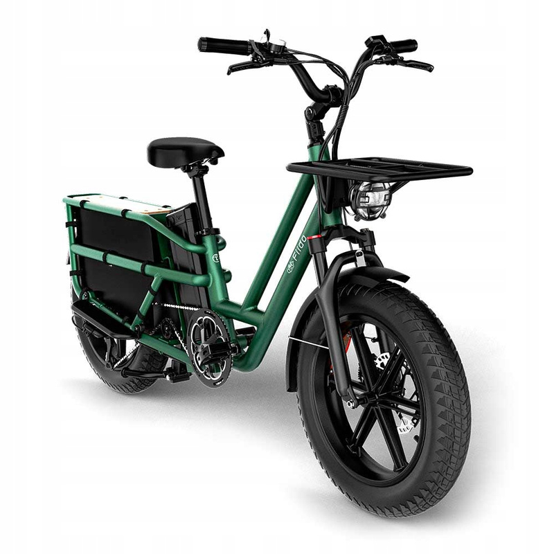 Rower elektryczny Cargo FIIDO T2-2025 (20'') Fatbike Green