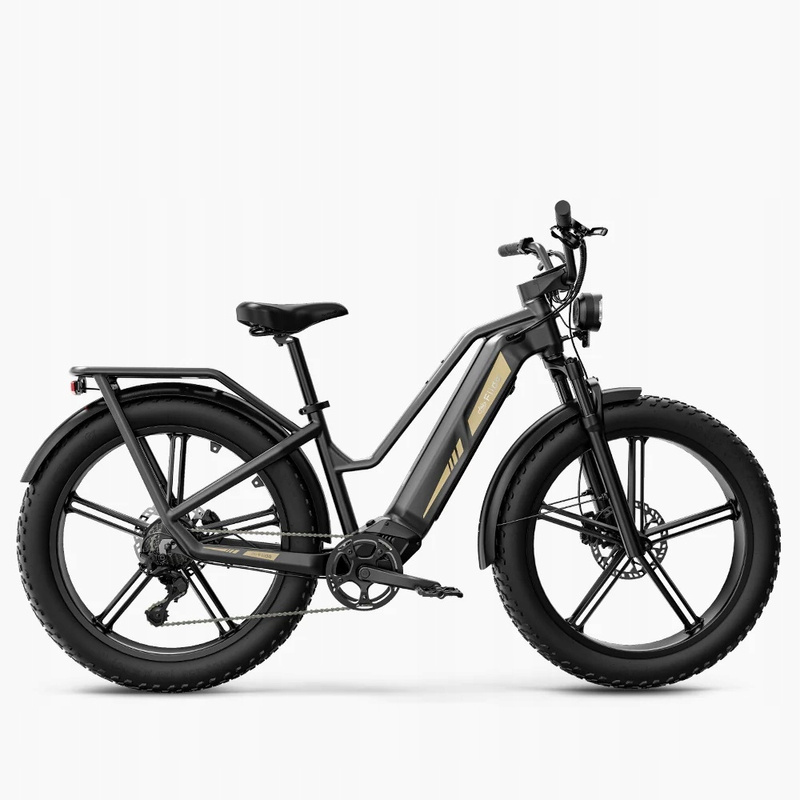 Rower Elektryczny Fiido Titan fatbike